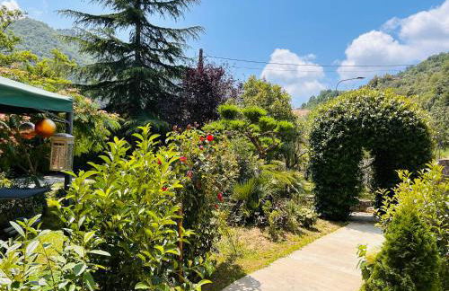 House of artist - Foto 63