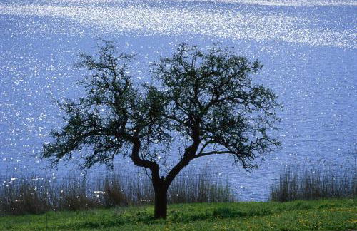 Ferienwohnung Landfein Schalkenmehren - Foto 20