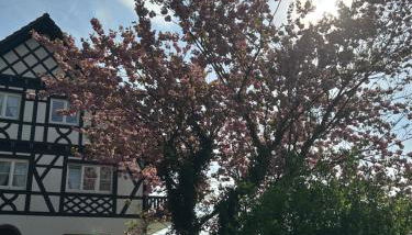 Ferienwohnung Hesselbach - Foto 2