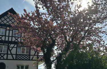 Ferienwohnung Hesselbach - Foto 2