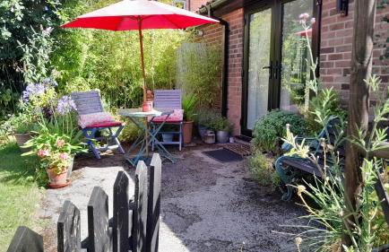 Rosehips at Kerensa, Naburn - Foto 2