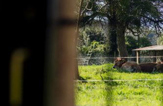 La Quintana de Los Valles - Foto 51