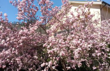 L'Erbetta fra le Cinque Terre e la Val di Vara - Photo 16