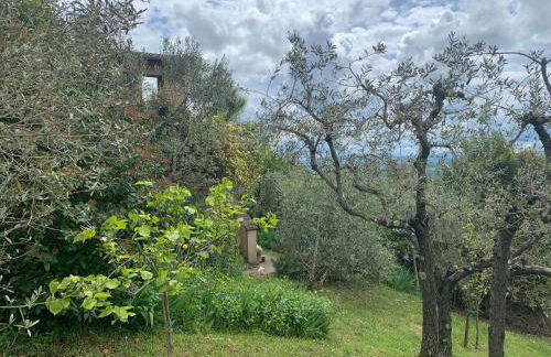 Podere Casallorto - Foto 10