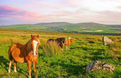 Wisteria Lodge - Cottage - Foto 33