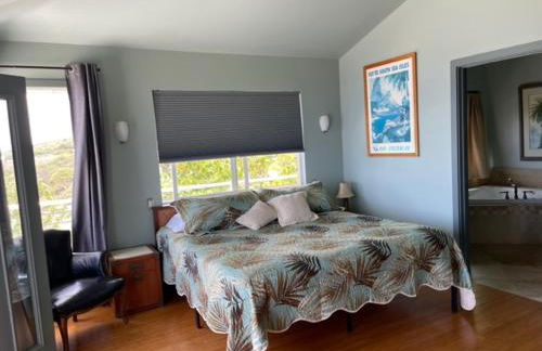 The Pineapple Palace - Foto 39