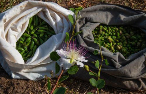 Agriturismo Al Cappero - Foto 62