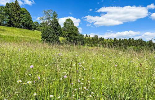 Apartment Schwarzwaldblick VI by Interhome - Foto 42