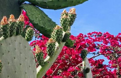 Apartment For 2 - 4 People Just 100m From the Sandy Sea - Foto 42