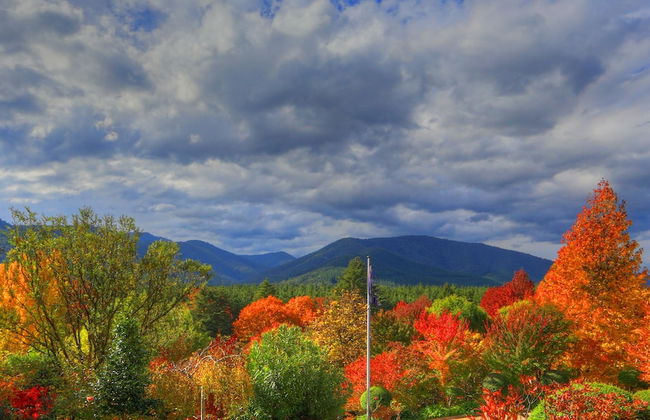 Chestnut Tree Holiday Apartments - Foto 19