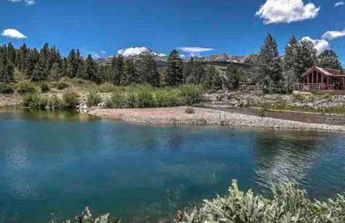 Sun & Snow Chalet Breckenridge, a dog lovers dream! - Foto 20