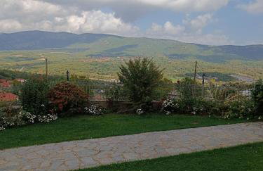 ΑΡΧΟΝΤΙΚΟ ΜΑΝΤΕΙΟ - Photo 27