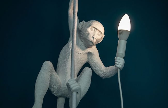 URBN Dreams - Into the Wild - Foto 9