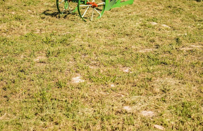 Agriturismo La Collina - Foto 28