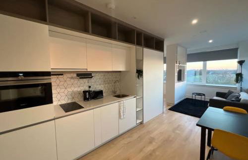 Voyager Haus Apartments, EV Charging Stations, London Heathrow Airport, LHR, Terminal 4, RE-Energise & GO - Foto 54