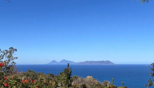 Bouganville in Villa Greco - Photo 4