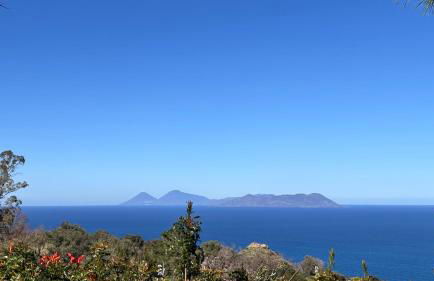 Bouganville in Villa Greco - Foto 65