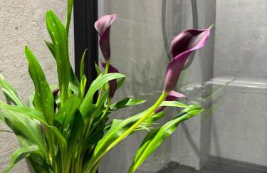 Luxury apartment Y after renovation in Cullera with parking - Foto 29