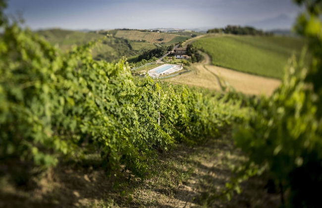 Apartment in Ascoli Near Sea Beach - Foto 32