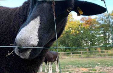 The Stables - 2 bed with large garden and hot tub. - Foto 41