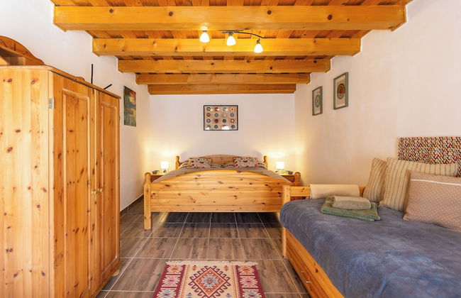 The Bird of Happiness-heaven for Dogs - Foto 6