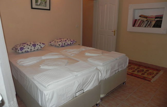 Dalyan Palace - Photo 5