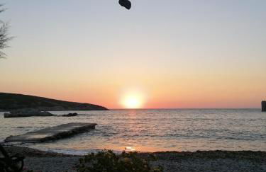 Maestralia - Photo 2