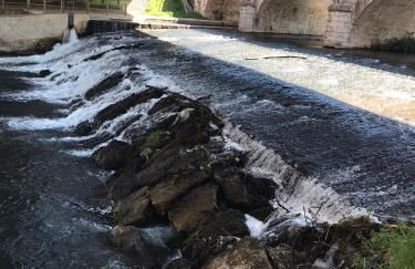 Apartamentos turísticos Pidal 3 VUT-09-316 - Foto 29