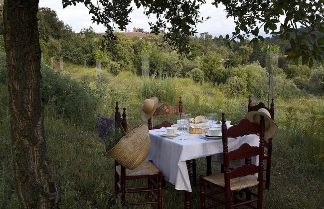 Finca La Fronda - Foto 10