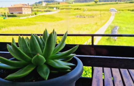 Camino a las Sopeñas - Foto 6