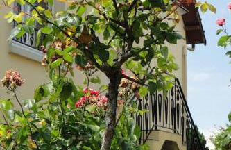 FRONT DE MER, meublé de tourisme sur le port - Photo 23