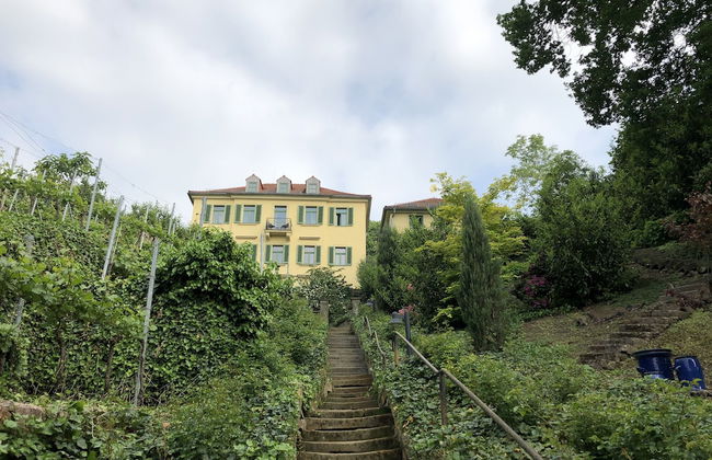 Rebenhaus Meißen - Foto 46