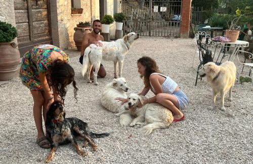 SetterHouseAgriHotel - Photo 12