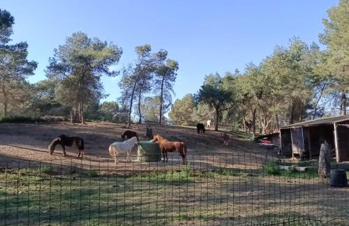 Appartement vue panoramique au domaine et golf de pont royal - Foto 31