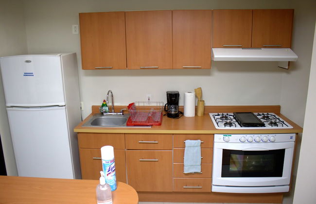 Puerta Alameda Suites - Foto 75