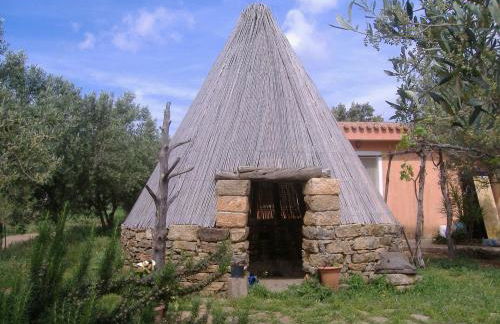 Agriturismo Marongiu - Foto 17