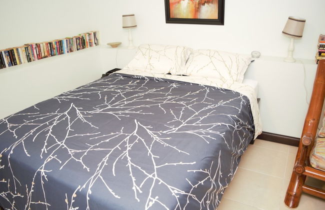 New Kingston Guest Apt at Evans - Photo 2