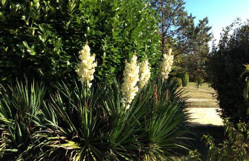 Domaine de Manilau - Foto 15