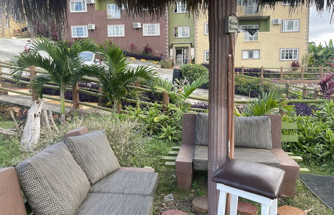 Pirate Palms - Foto 37