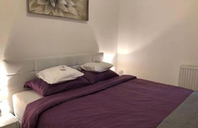 Apartment Palm Home - Photo 2