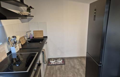 Neu 4 Zi Kü Bad Coll-mar - Foto 14