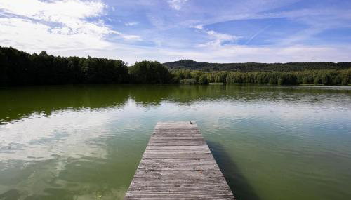 Teichmühle - Vogtland Chalet - Foto 3