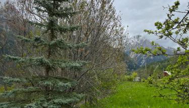 En pleine nature avec jardin - Foto 4