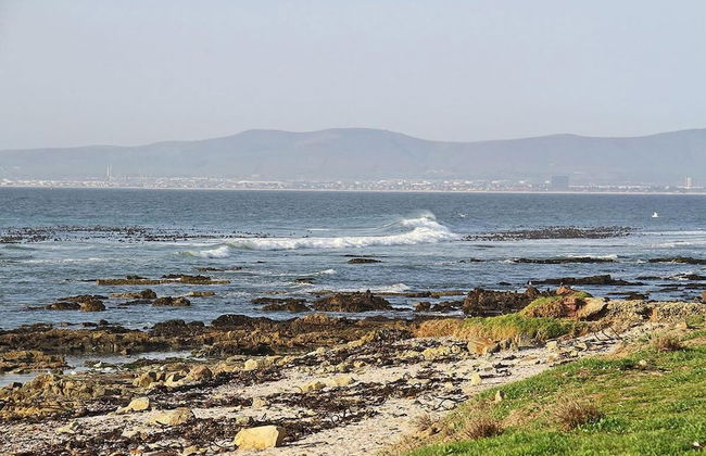 Sandringham II - Photo 19