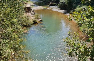 La casa del bosque - Foto 31