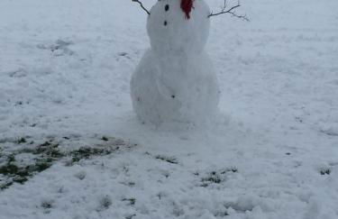 Cottage on the Green - Photo 15