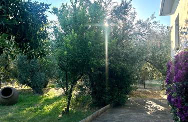 A casa d Irene - Photo 9