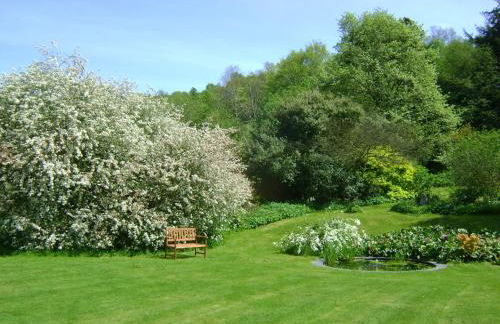 The Forest Country House B&B - Foto 22