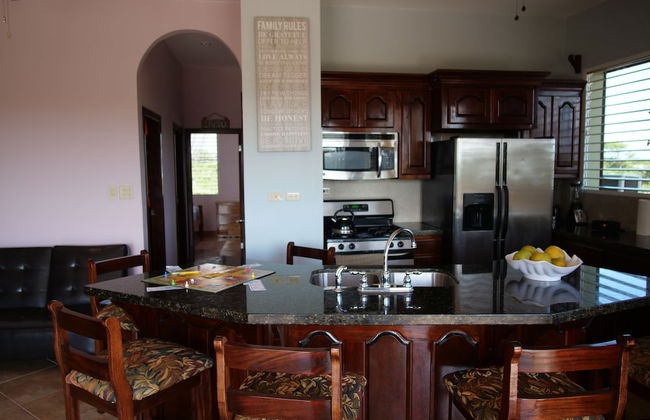 Savannah Sand Dollar - Foto 5