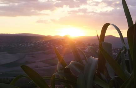 L'Alphonsine - Foto 11